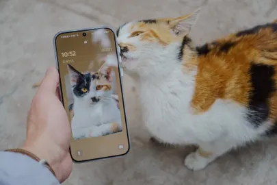 BetCart Casino Mobiele App